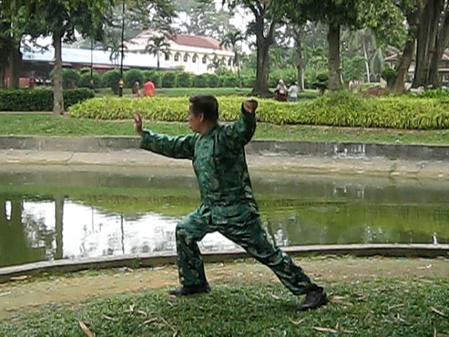 Tai Chi Chuan, Taijiquan